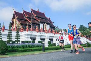 BIB: 
                            <button type="button" onclick="openModal(22459742)" class="btn btn-primary btn-sm float-right btn-popup" data-toggle="modal" data-target=".modal-high-quality">
                        <i class="fas fa-shopping-cart"></i> Add to Cart
                    </button>
                                            <button type="button" onclick="isThisMe(22459742, true)" class="btn btn-success btn-sm float-right btn-popup btn-isme hidden" data-toggle="tooltip" data-placement="bottom" title="นี่คือรูปของคุณใช่ไหม คลิกที่นี่เพื่อเอาเข้าอัลบั้ม">
                        <i class="fas fa-plus"></i> Add to album
                    </button>
                    <button type="button" onclick="isThisMe(22459742, false)" class="btn btn-warning btn-sm float-right btn-popup btn-isnotme hidden">
                        <i class="fas fa-ban"></i> Remove from album
                    </button>